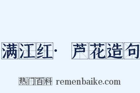 满江红·芦花造句是什么意思的图片